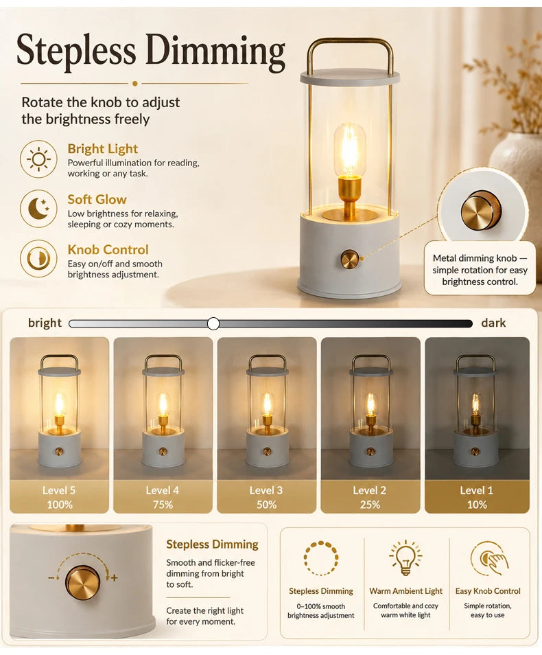 Portable Rechargeable Table Lamp with Carry Handle Stepless Dimming Reading Desk Light Bedroom Living Dining Hotel Patio Camping
